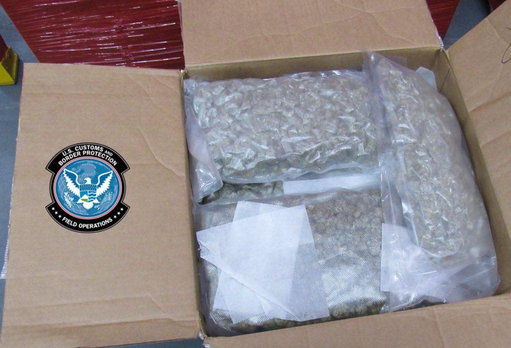 665 pounds of marijuana worth over .3 million seized at Peace Bridge