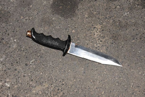 One charged after double-stabbing, brandishing knife at officers