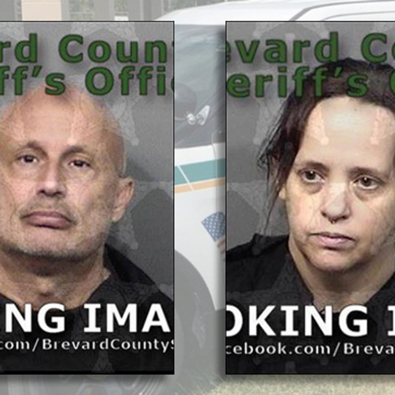 Florida teachers let daughter have sex with houseguest, sheriff says Florida teachers let daughter have sex with houseguest, sheriff says