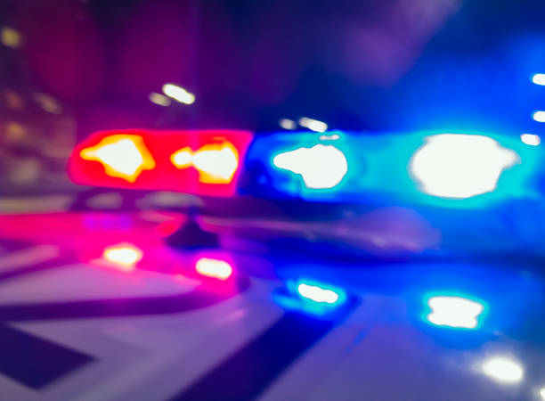 Deputies: Monroe County duo facing felony charges after string of Wayne County burglaries