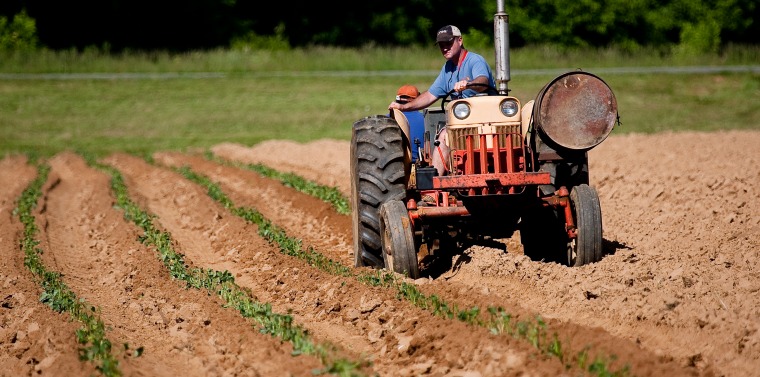 ‘Nourish New York’ will now be a permanent state-run program