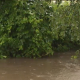Heavy rains flood much of region