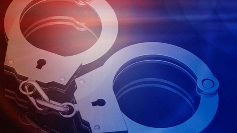 Rochester woman charged with arson, accused of biting cop and, assaulting medical staff Rochester woman charged with arson, accused of biting cop and, assaulting medical staff