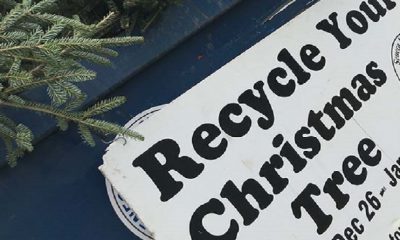 Christmas tree recycling program in Seneca County