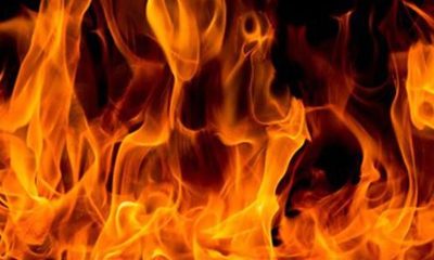 Fire in Erin draws multiple departments