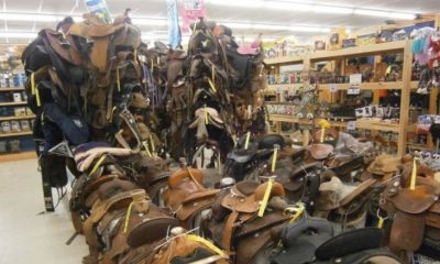 Popular Saddle & Tack Consignment Sale is back at Farmington CountryMax