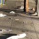 Homeowners responsible for picking up garbage on sidewalk