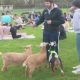 Goat yoga is back to Nazareth College