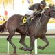 Local jockey competes in Kentucky Derby this weekend
