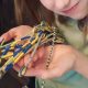 Rochester girls sell bracelets to raise money for Ukraine