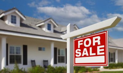New York bill could change the game for homebuyers seeking inspections