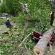 Greece neighborhood severely damaged by strong winds, fallen trees, and broken electric lines